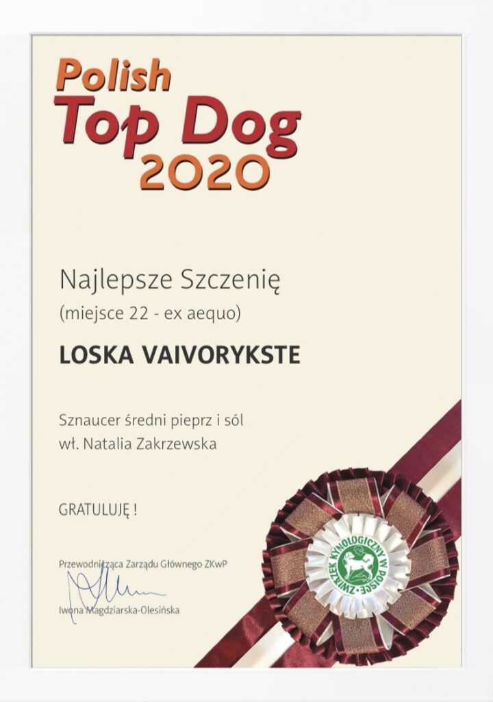 Polish Top Dog 2020