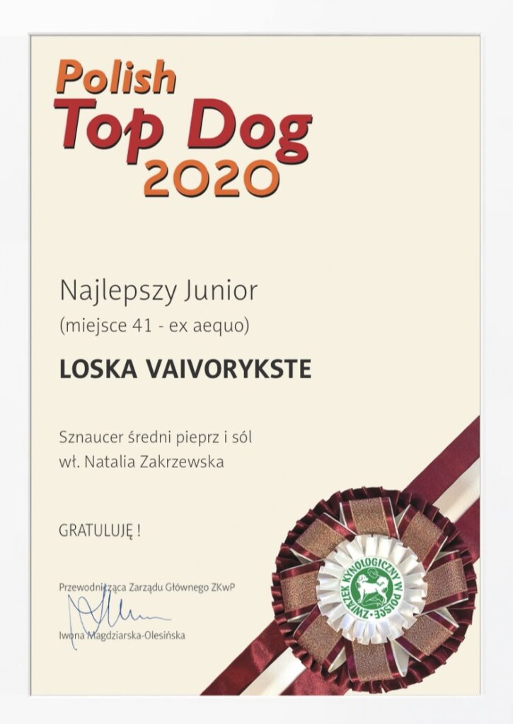 Polish Top Dog 2020